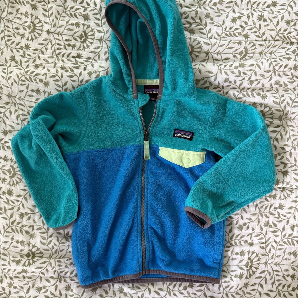 Patagonia Kids' Teal and Blue Fleece Hoodie